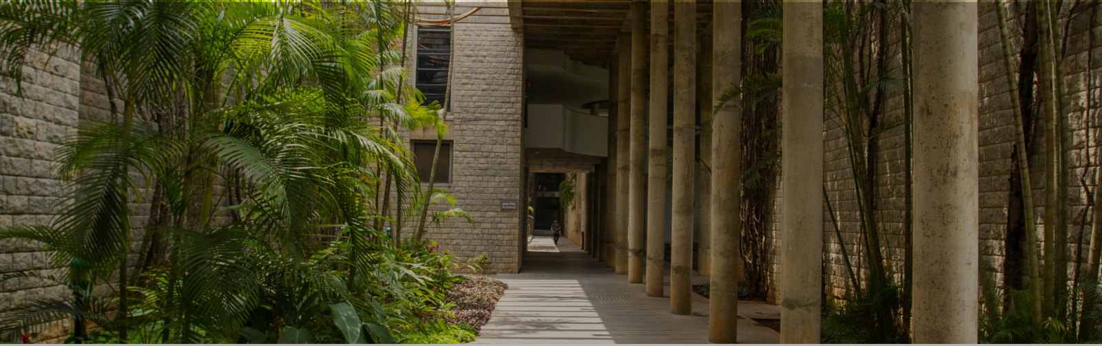 Scenic walkway with greenery and pillars at Indian Institute of Management, Bangalore corridor.