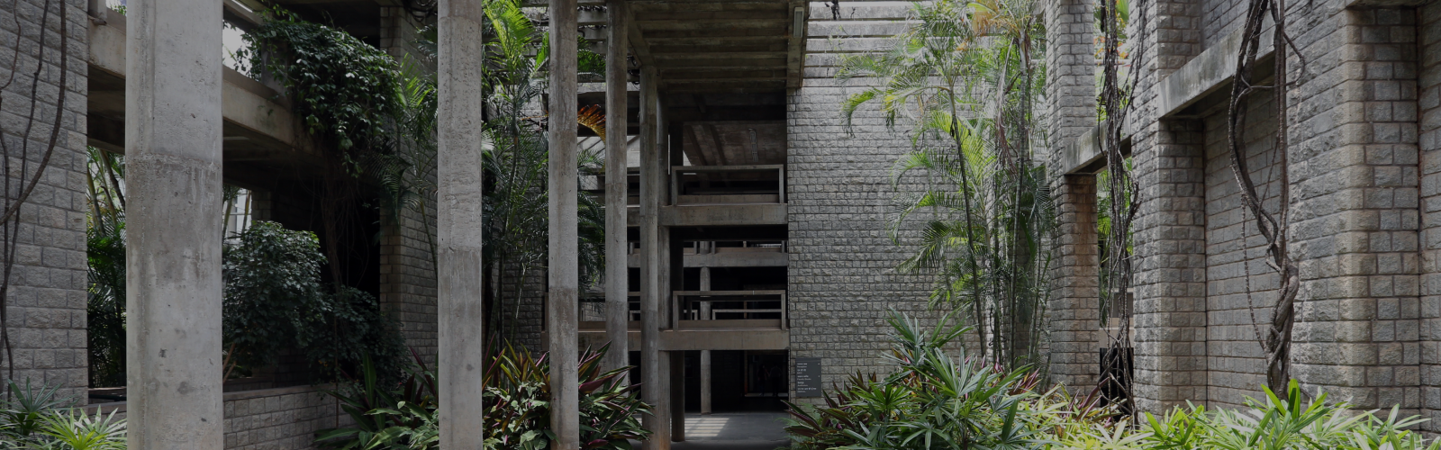 Walkway with plants growing on the side at Indian Institute of Management, Bangalore.