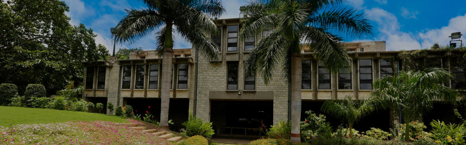 Beautiful landscape of Indian Institute of Management, Bangalore surrounded by nature.