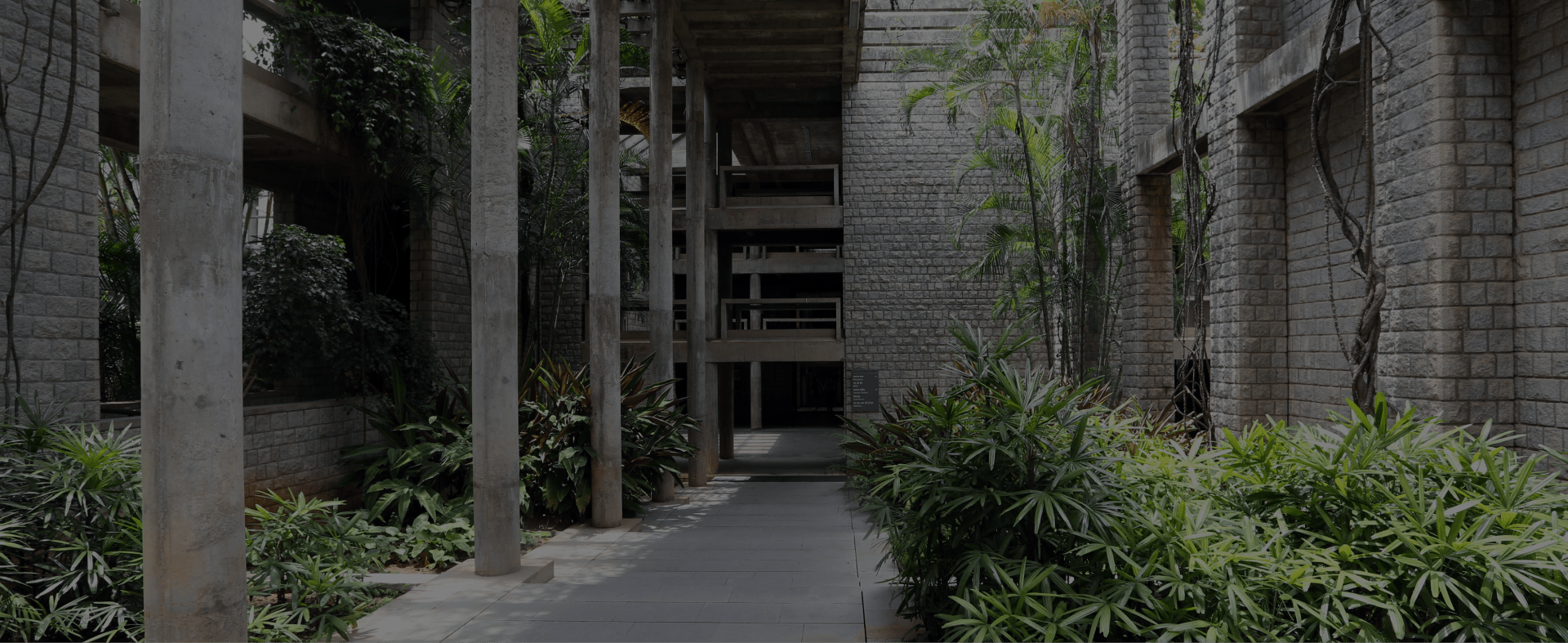 Walkway with plants growing on the side at Indian Institute of Management, Bangalore.